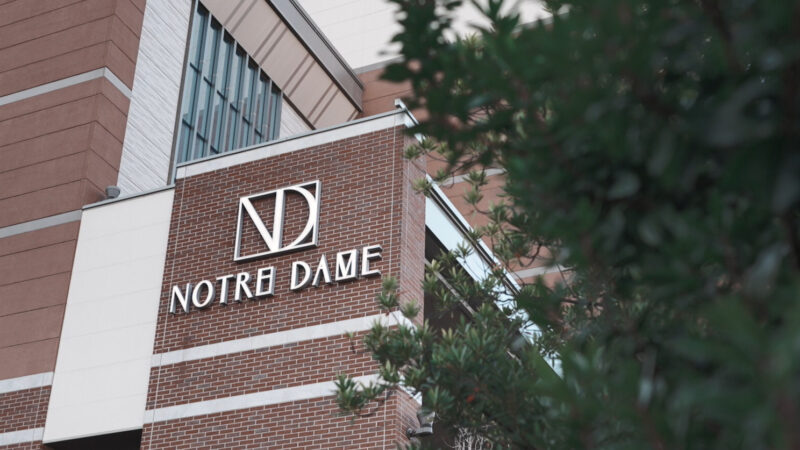 Cinematic Live Edition Light