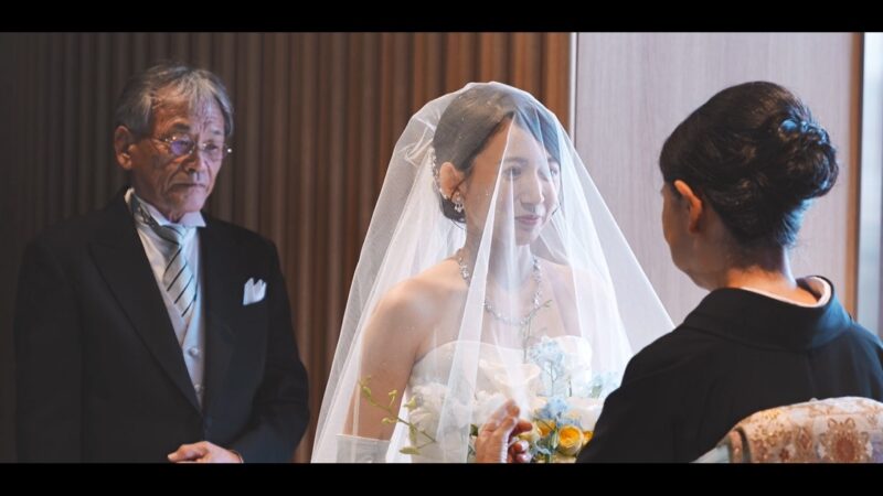 Cinematic Live Edition Plus