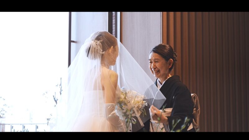 Cinematic Live Edition Plus